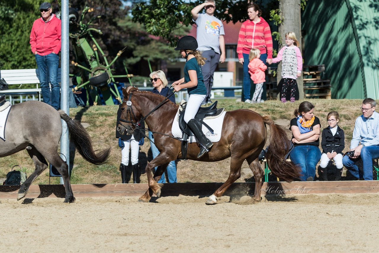 Bild 96 - Pony Akademie Turnier